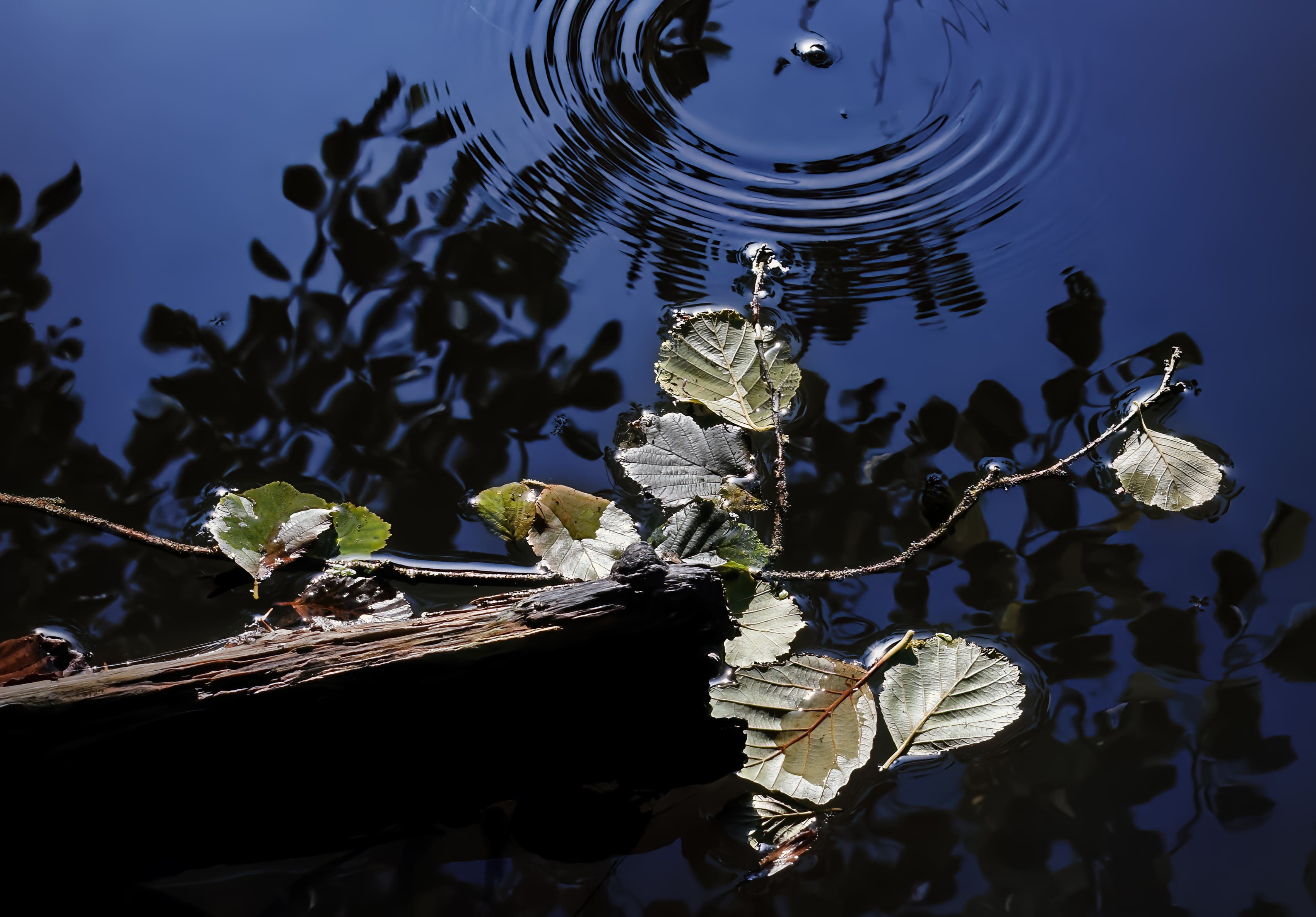 Mơ Thấy Nước 💧: Tiền Vào Như Nước Hay Rắc Rối Chực Chờ?