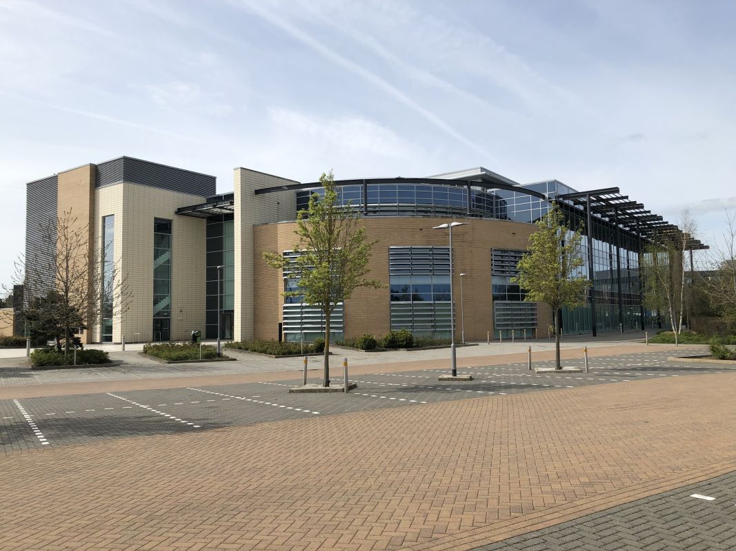 Phong Thủy Màu Sắc Doanh Nghiệp & Logo 🏢: Định Vị Thương Hiệu