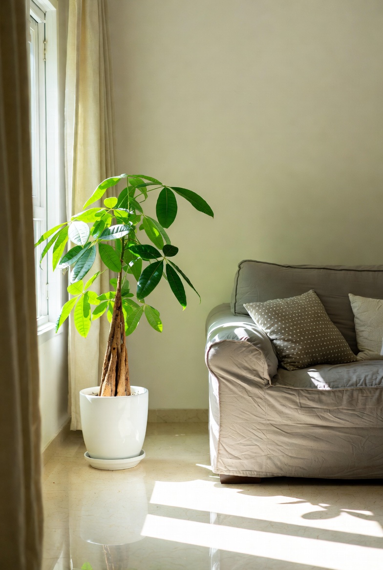 Đánh Thức Cung Tài Lộc (Hướng Đông Nam): Bí Quyết Để Tiền Bạc Đổ Về Như Nước